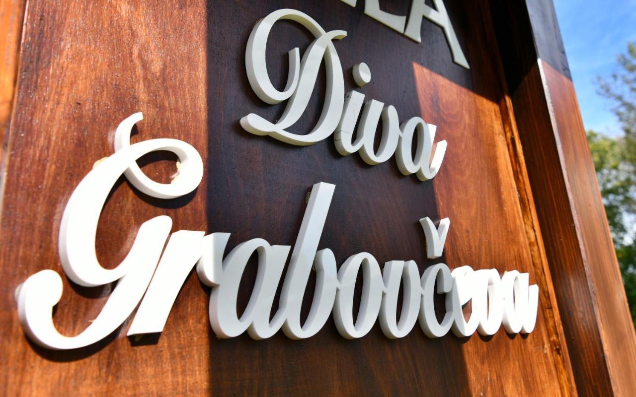 Vakantiehuis Diva Grabovceva Rakovica